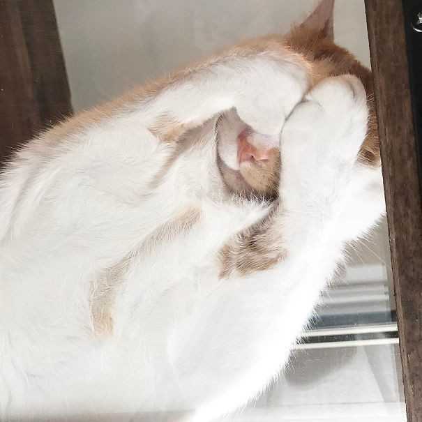 Ten się wstydzi