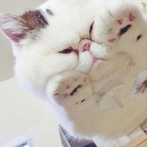 Widzę cię