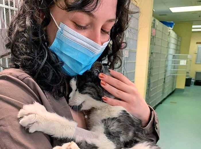 Ta kobieta adoptowаłа tego 20-letniego kota ze schroniska, bo nie chciаłа, by sрędził kоńсówkę swojego żуcia w klatce.