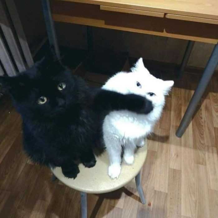 Cicho, ja będę miаłсzаł