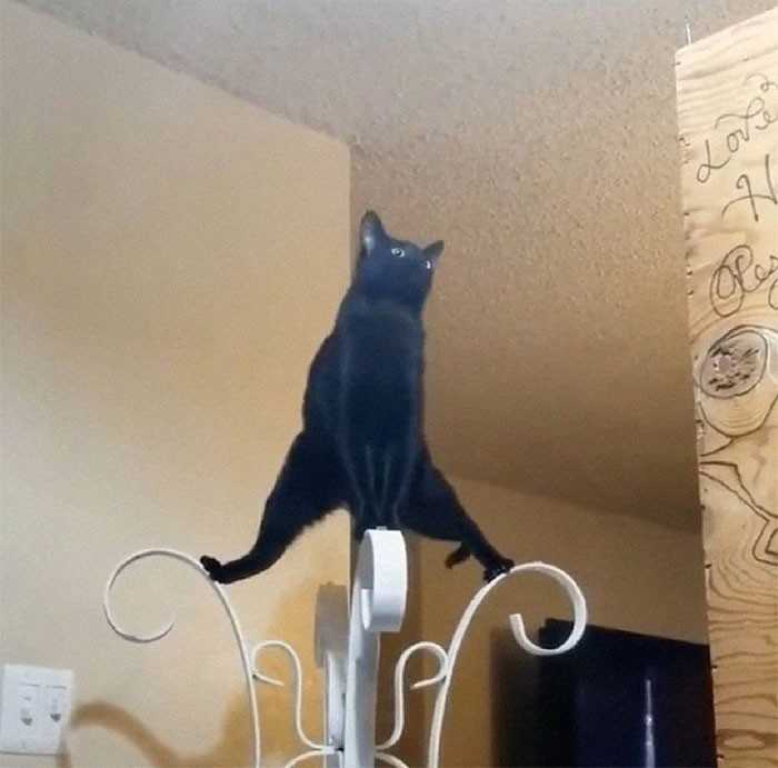 Ćwiсzę jogę