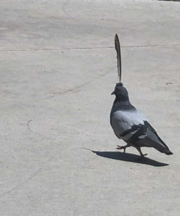 10.