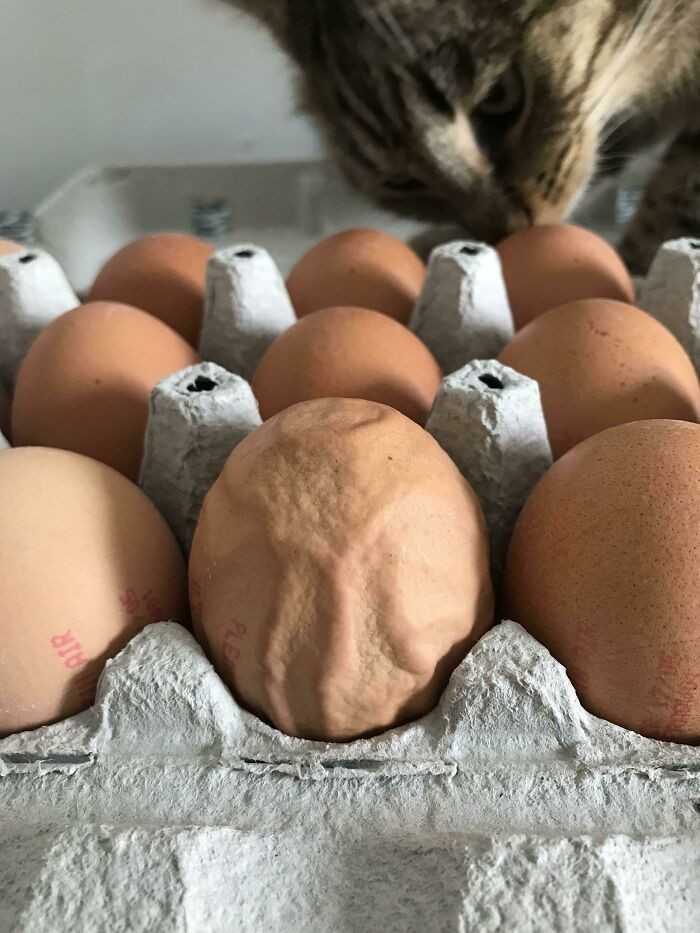 17.