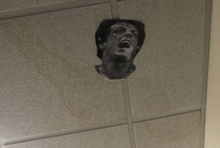 8.