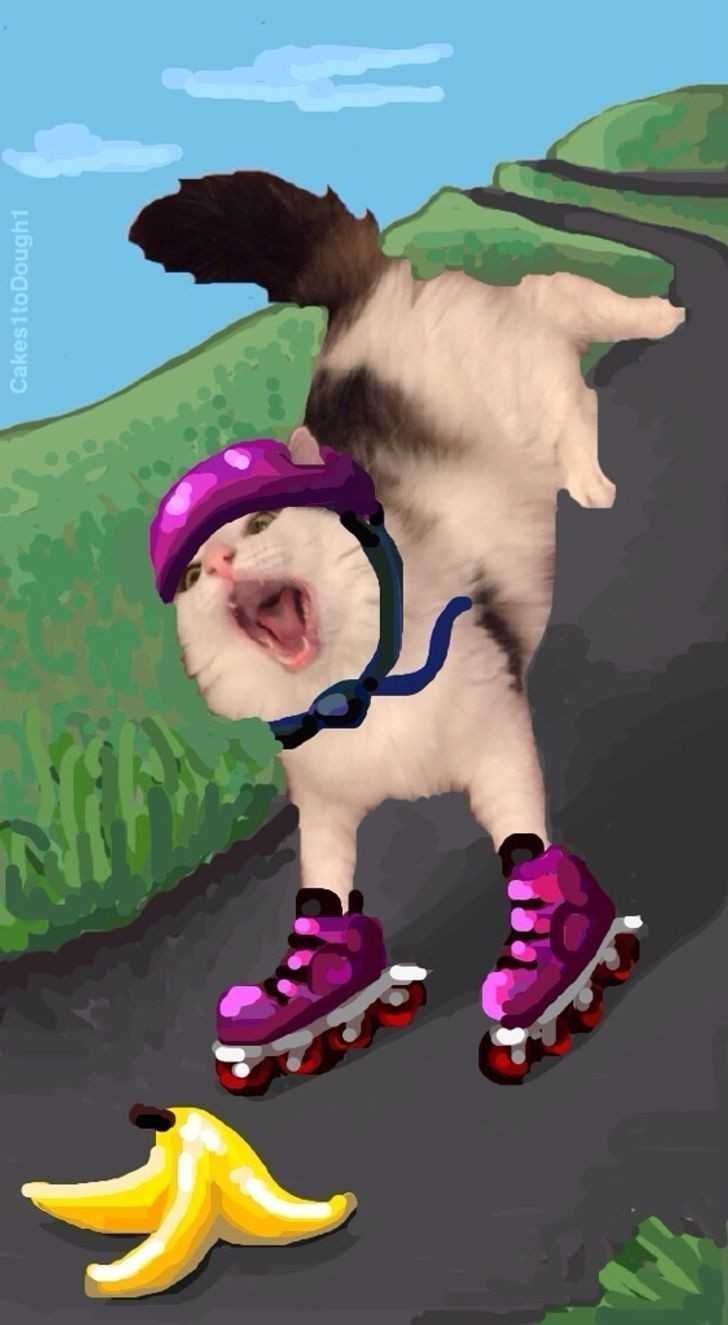12.