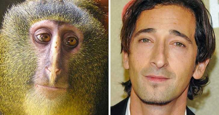 3. Adrien Brody