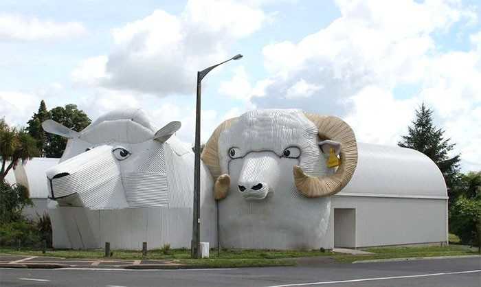 14. Owca i baranek, Tirau, Nowa Zelandia