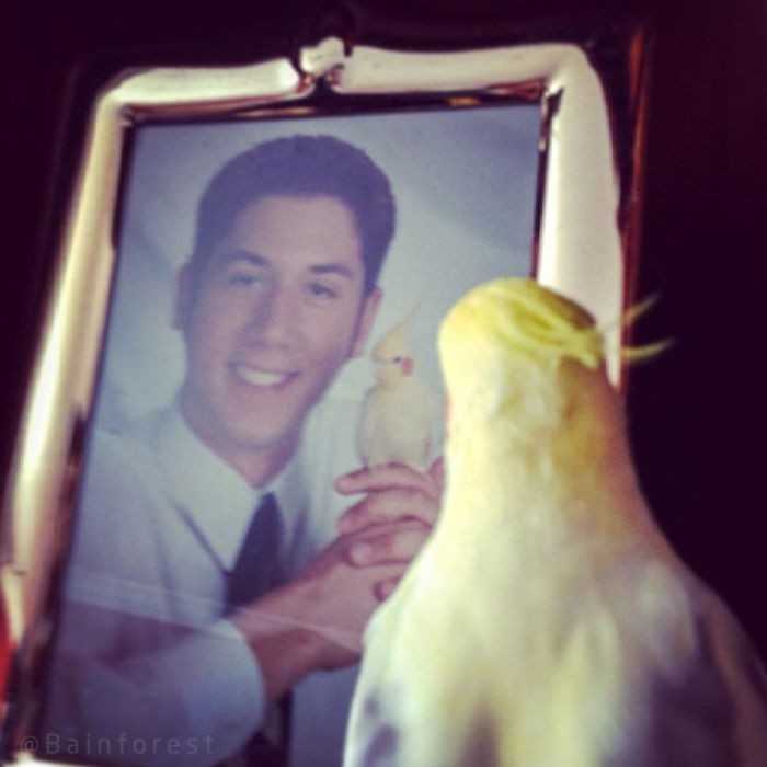 4. „Zrobiłеm zdjęсie na zakоńсzenie szkоłу z moim ptakiem, Jeffem. 10 lat рóźniеj przуłаpаłеm go na wspominaniu starych czasów.”