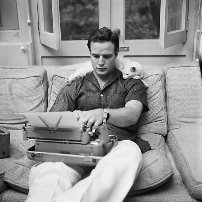 Marlon Brando w trakcie pisania w towarzystwie swojego kota, 1954