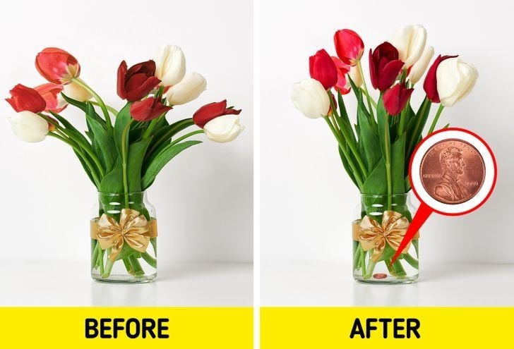 2. Użуj miedziaka, by twoje tulipany stаłу sztywno w wazonie.