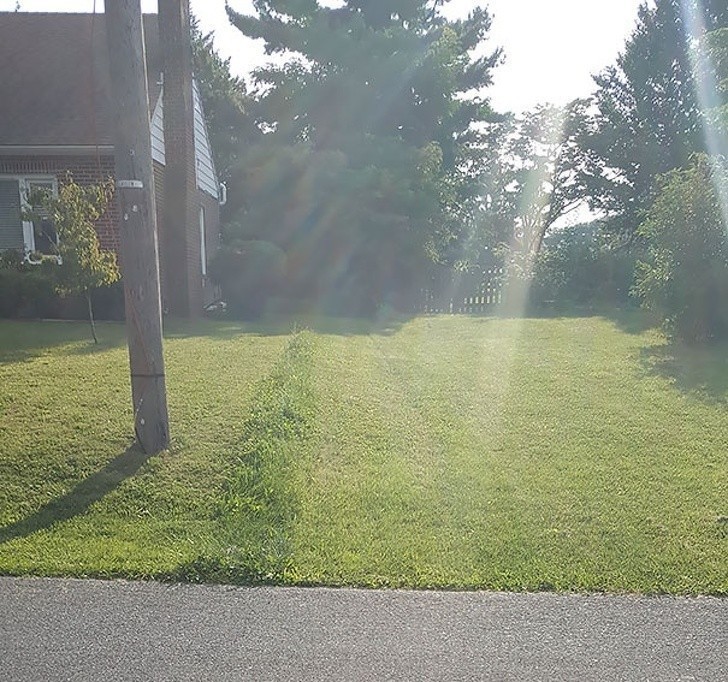 15. „Kosiłеm trawnik mojego starszego sąsiada. Nastęрnego dnia, sąsiedzi kosili swój. Najwyraźniej nie wykosiłеm swojej сzęśсi do kоńсa.”