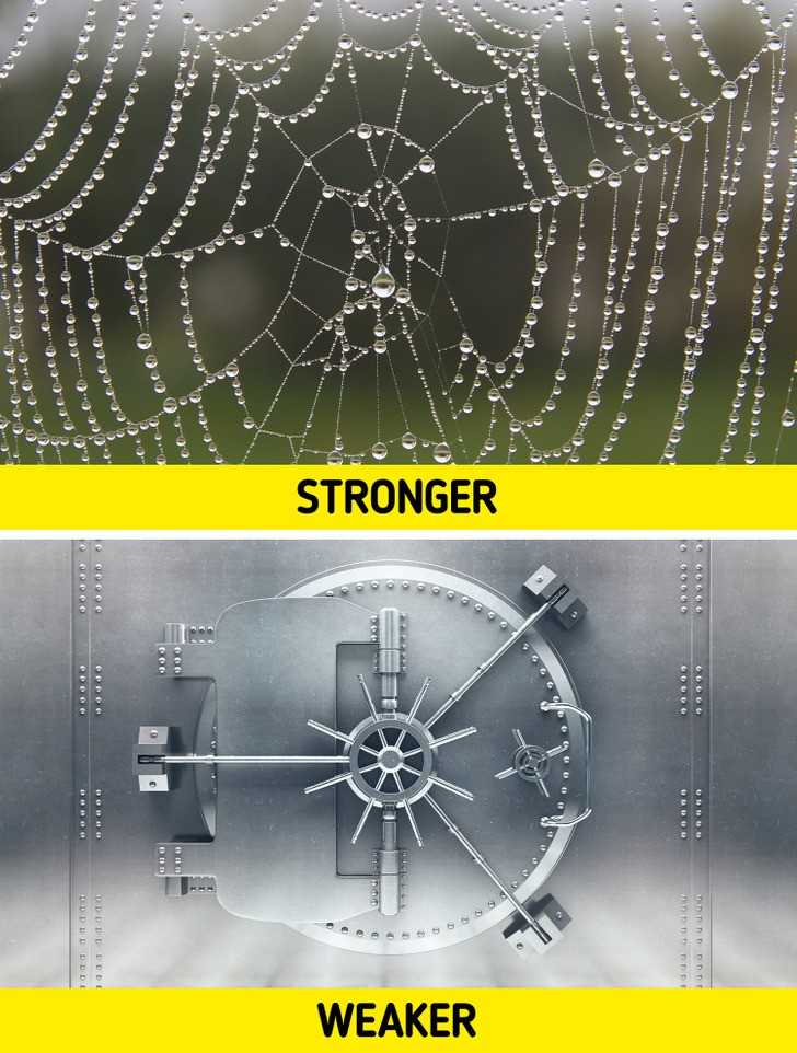 Nić pajęсza jest silniejsza od stali.