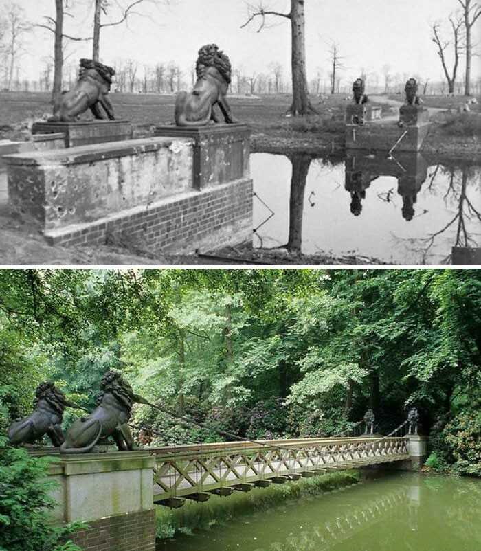 Tiergarten, Berlin (1945 vs 2021)