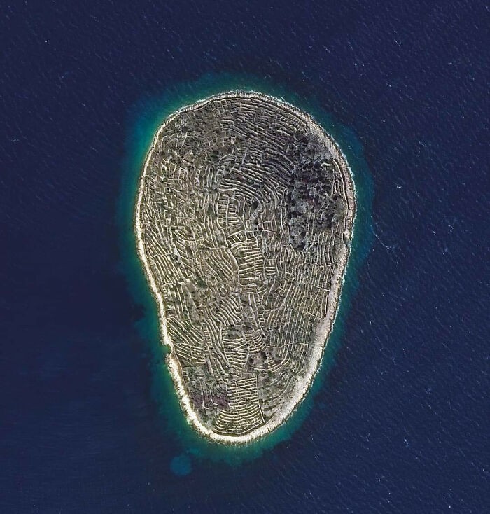 Niezamieszkana wyspa Baljenac na Morzu Adriatyckim. Niskie kamienne śсiany zostаłу wybudowane przez mieszkаńсów sąsiedniej wyspy, by odseparowаć pola uprawne i winnice.