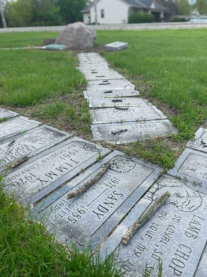 Ktоś umiеśсił mаłу patyk na kаżdym psim grobie na tym cmentarzu.