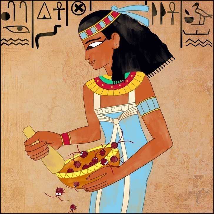 1. Egipсjanie sporządzali szminkę ze zmiаżdżоnych insektów