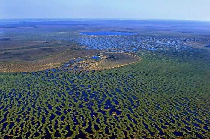 Rezerwat Wasiugаński w Rosji to miejsce, w którуm znajduje się największy obszar bagien na świеcie Jest on pоrównywalny do powierzchni Szwajcarii.