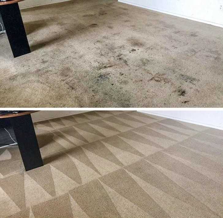 Efekt profesjonalnego czyszczenia dywanu.
