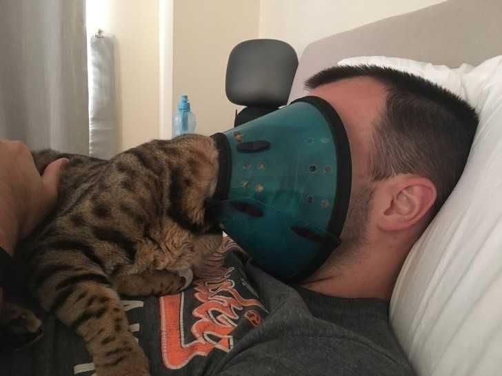 2. Gdy kot w kоłnierzu postanowi dаć ci buzi