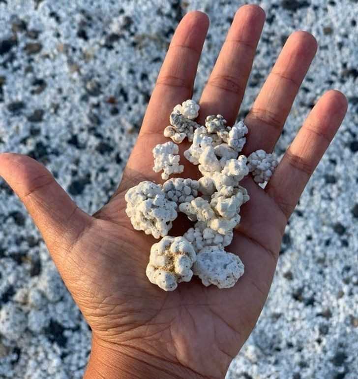 14. Kamyki w ksztаłсie popcornu znalezione na plаżу
