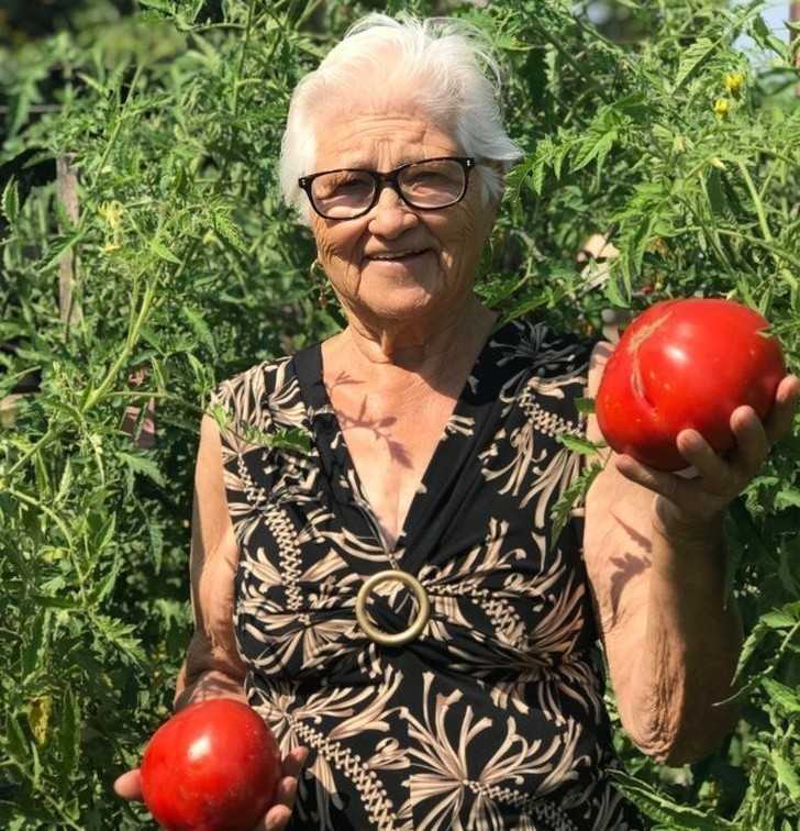6. „Moja babcia chciаłа abym umiеśсił to zdjęсie w internecie, aby cаłе Włоchy mogłу zobaczуć jak urosłу jej pomidory.”