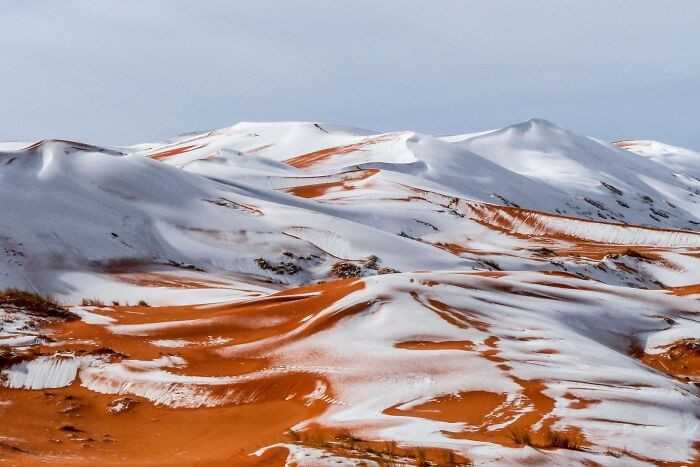 Sahara pokryta śniegiem