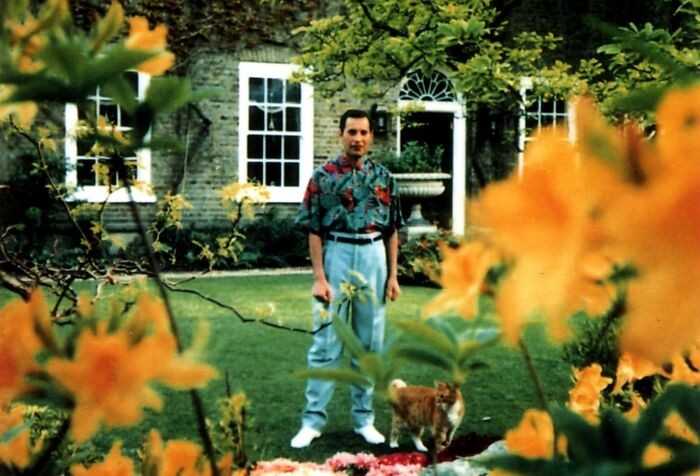 Jedno z ostatnich znanych zdjęć Freddiego Mercury'ego wykonane przez jego partnera, Jima Huttona, w ogrodzie jego domu. 28 sierpnia, 1991