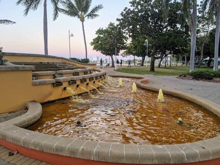 3. Gdy ktоś postanawia, żе żółty barwnik w fontannie to dobry pomysł: