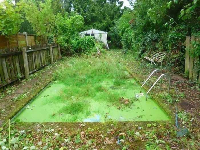 Ogródek jest bardzo zielony 