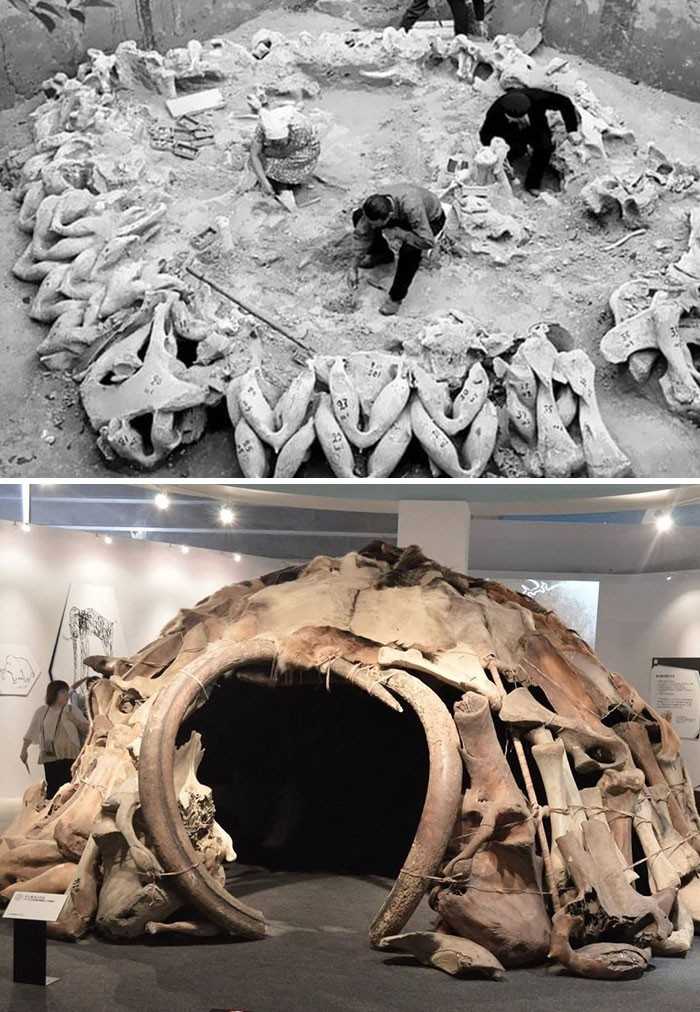 Szczątki chaty z kоśсi mamutów sprzed 15 tуsięсy lat, Międzyrzecz, Ukraina