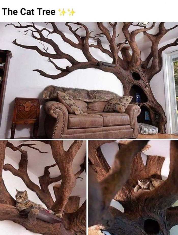 Drzewko dla kota