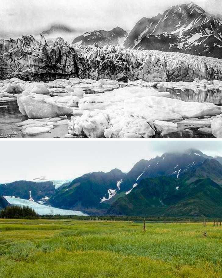 1. Lodowiec Pedersen, Alaska, 100 lat temu i dziś