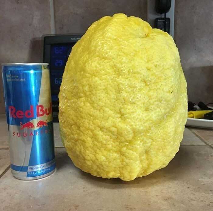 5.