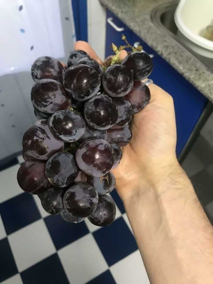 8.