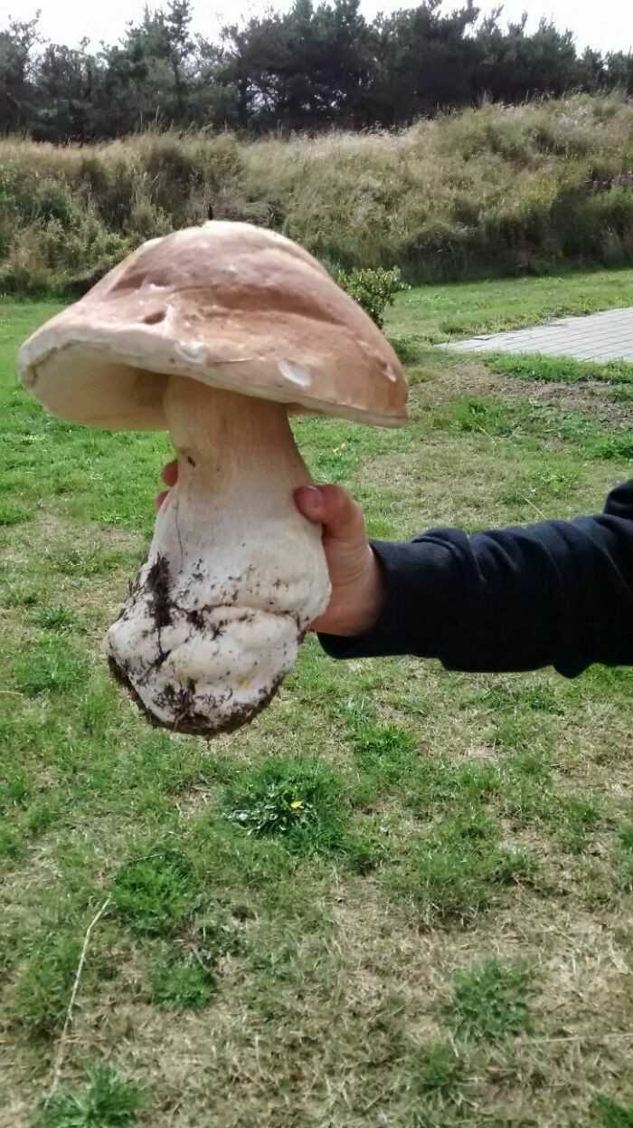 16.