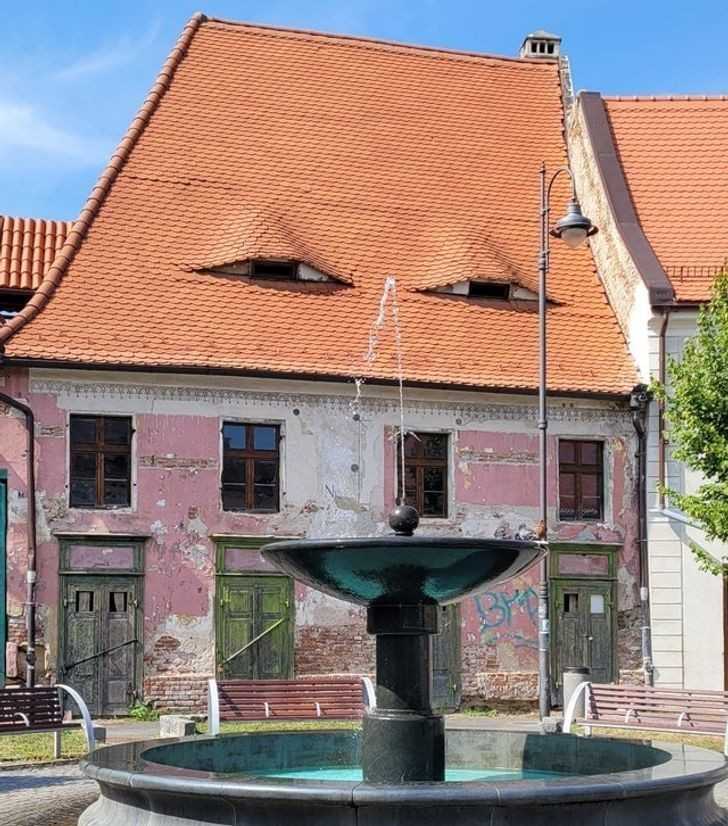 12. 