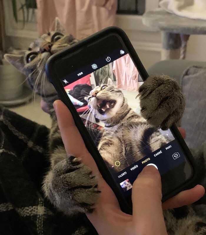 3. 