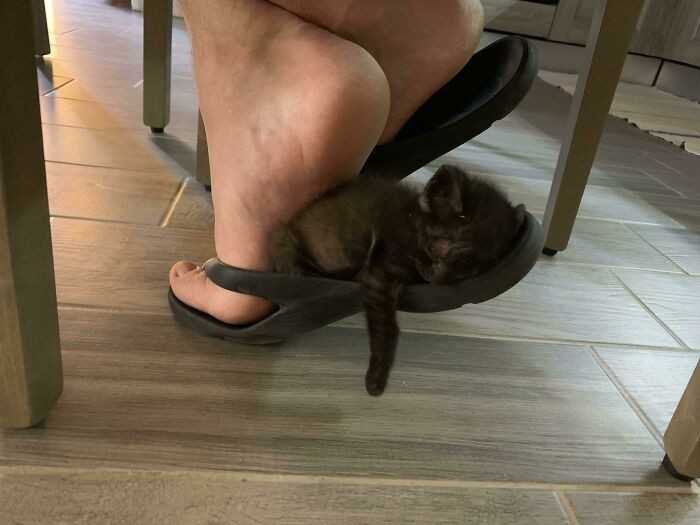 12. Kаżde miejsce jest dobre na krótką drzemkę.