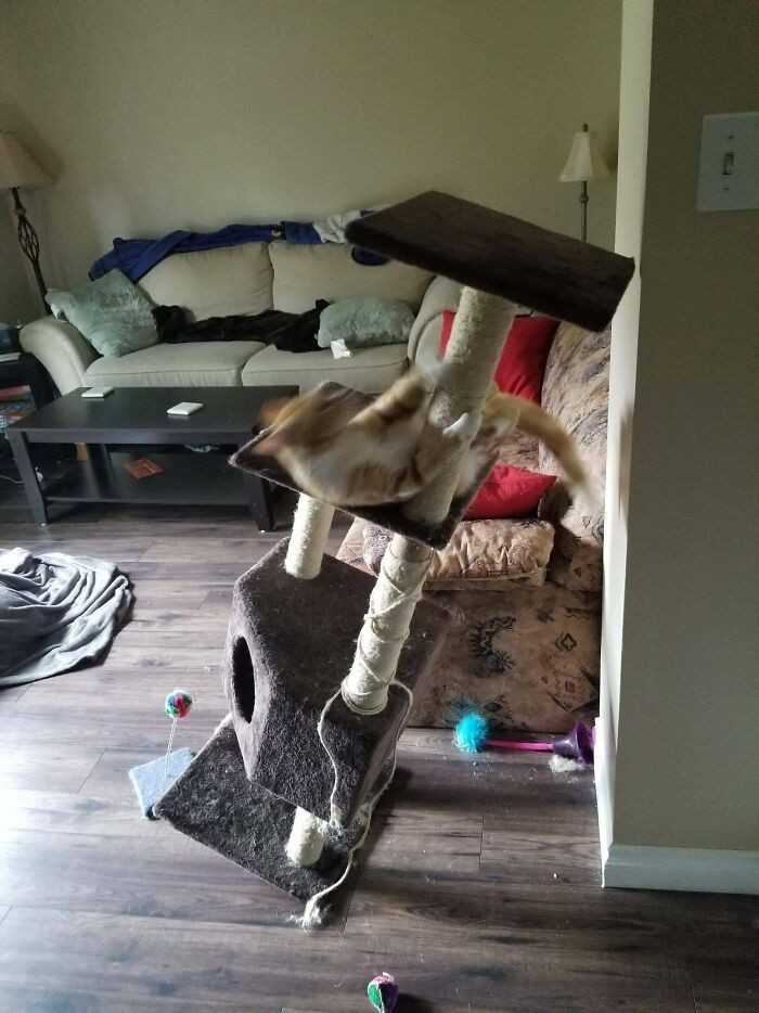 14. 