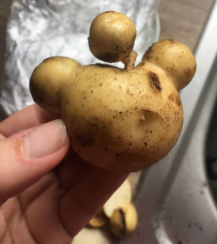 5. 
