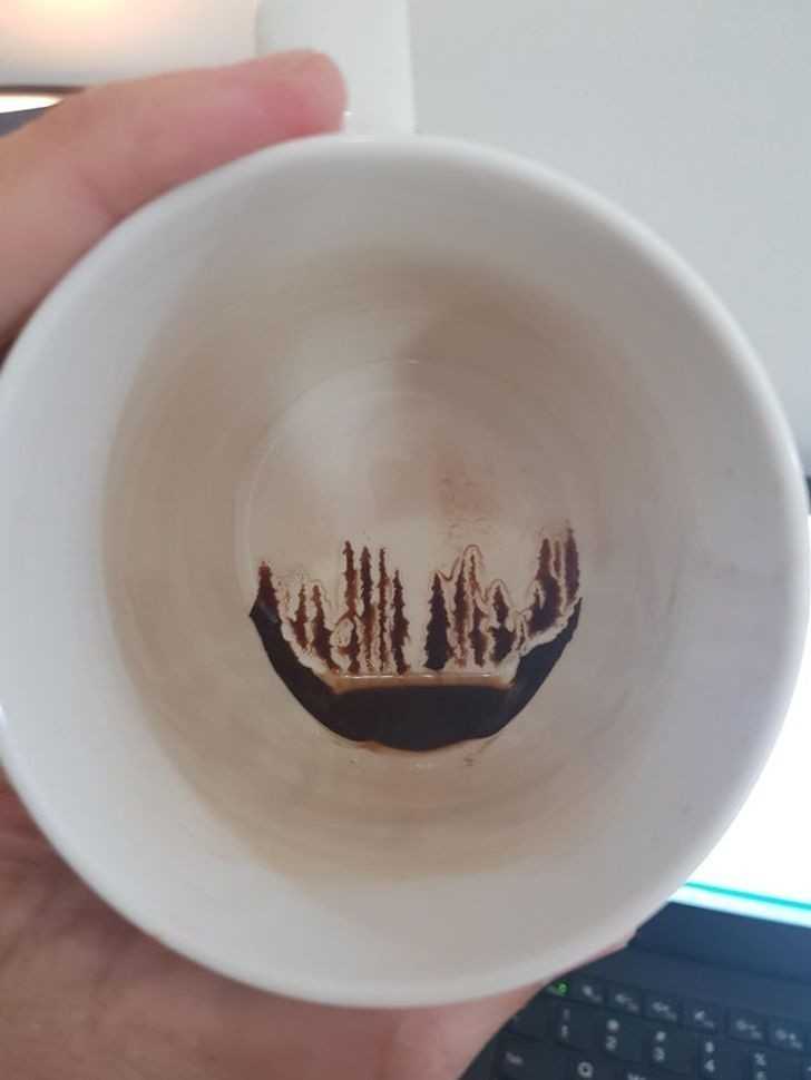 8. 