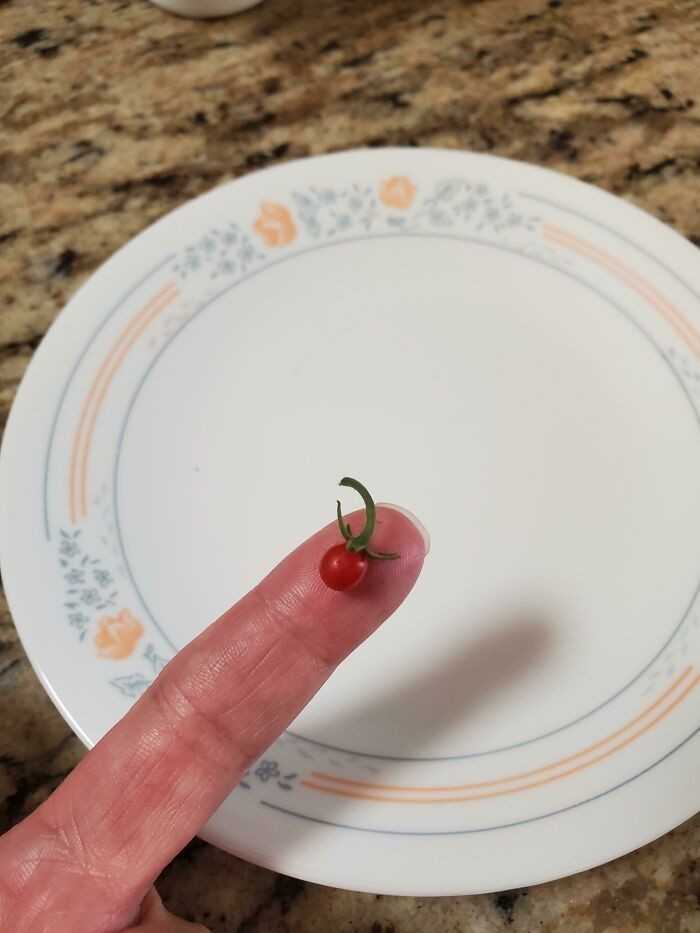 9. 