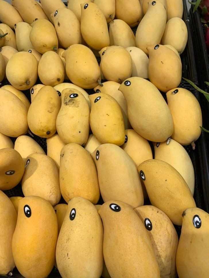 15. Naklejki na mango, nadająсe im ksztаłt ptаków