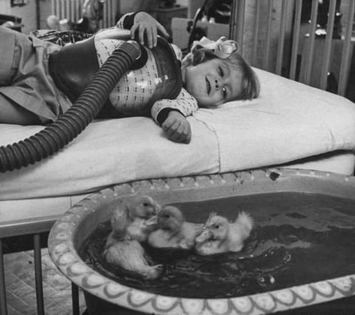 ZwierzÄ™ta uÅ¼ywane jako element terapii medycznej, 1956