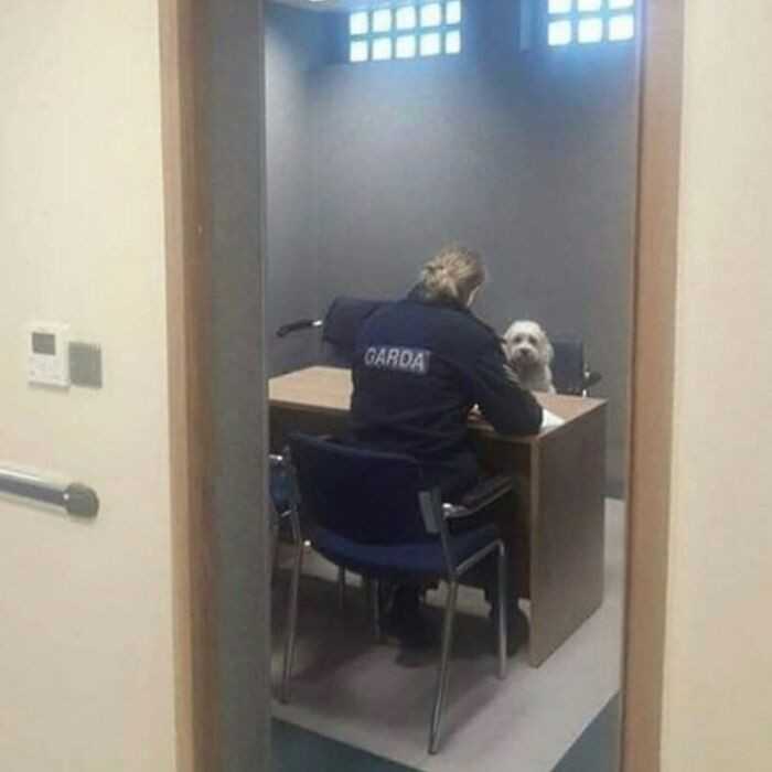 Gdzie jest piÅ‚eczka? 