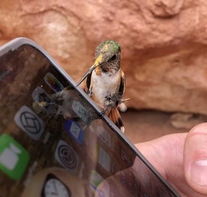 "Ten koliber przysiadÅ‚ na moim telefonie."