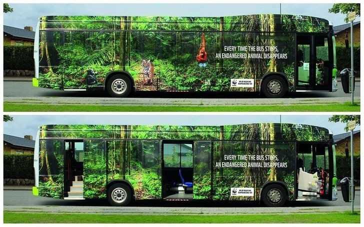 13. "Za kaÅ¼dym razem gdy ten autobus siÄ™ zatrzymuje, na Å›wiecie ginie zagroÅ¼one zwierzÄ™."