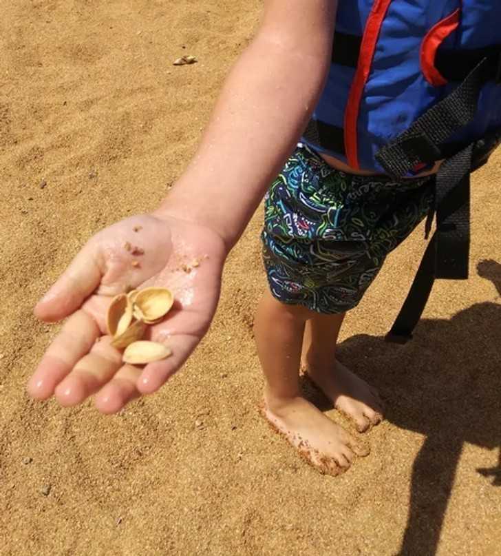 12. "MÃ³j syn znalazÅ‚ muszelki podczas pierwszego wypadu na plaÅ¼Ä™. Nie miaÅ‚am serca mu powiedzieÄ‡."