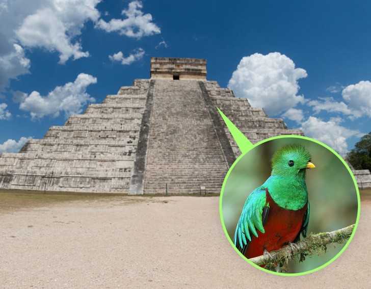 6. Piramida Kukulkana w Chichen Itza wydaje dÅºwiÄ™ki, gdy ludzie klaszczÄ….