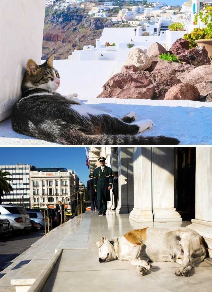5. Grecy majÄ… swojÄ… wÅ‚asnÄ… wersjÄ™ sjesty, o nazwie „mesimeri.â€